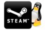 Steam-Linux