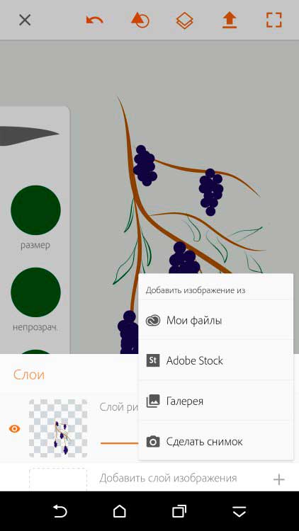 Adobe-Illustrator-Draw-–-векторная-графика-7